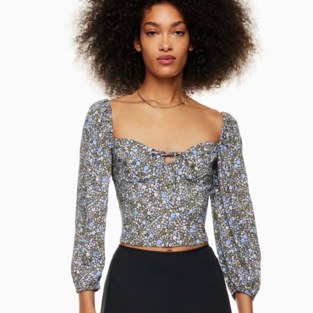 Wilfred Floral Novella Top with Blue Accents Size 2XL Aritzia